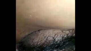 морена qr6 касад сафадинья